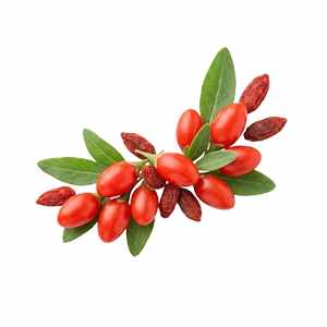 Goji schwebender Inhaltsstoff-Platzhalter